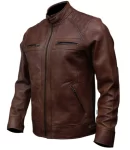 cafe racer leather jacket 1